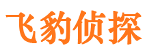 崂山市侦探